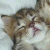 879.gif
